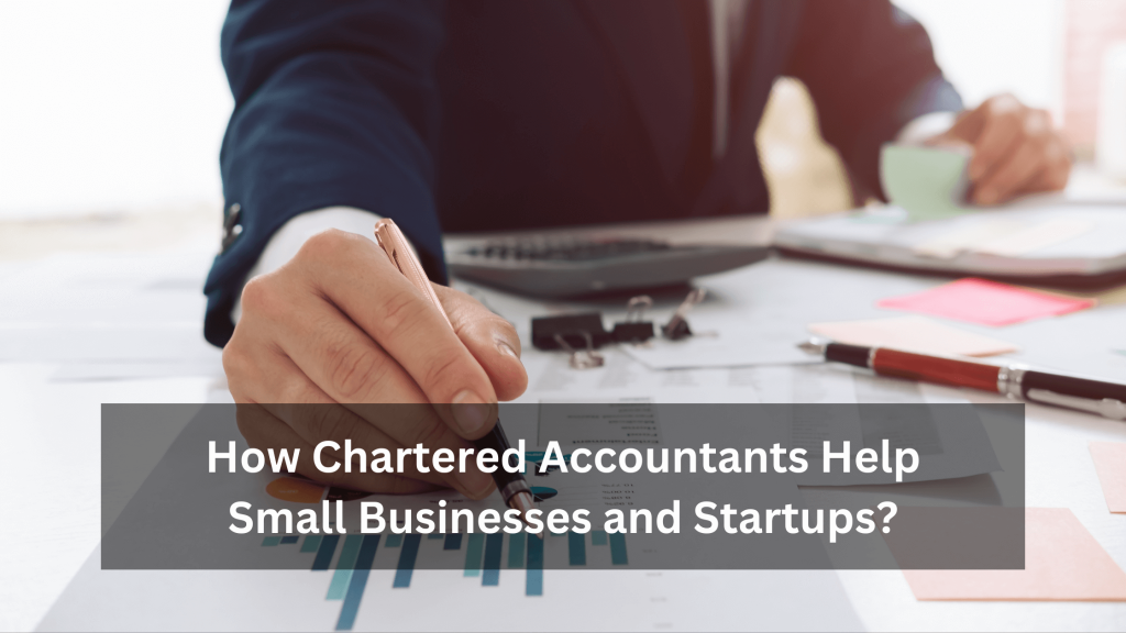 How can chartered accountants in Dubai help small businesses and startups?